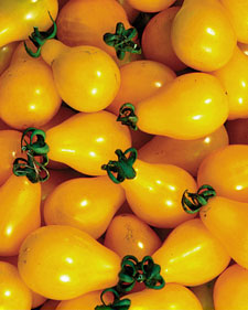 Yellow Pear Tomato