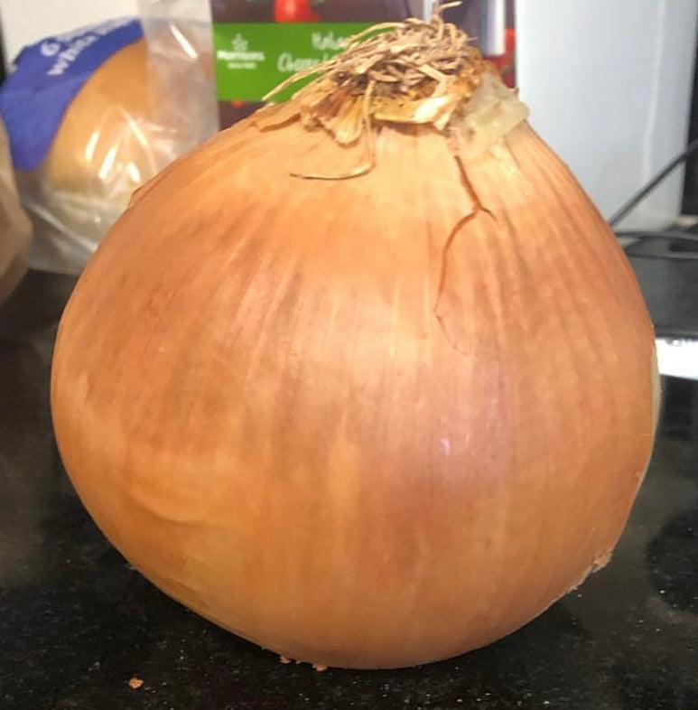 Utah Spanish Onion