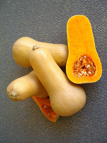 Waltham Butternut Squash