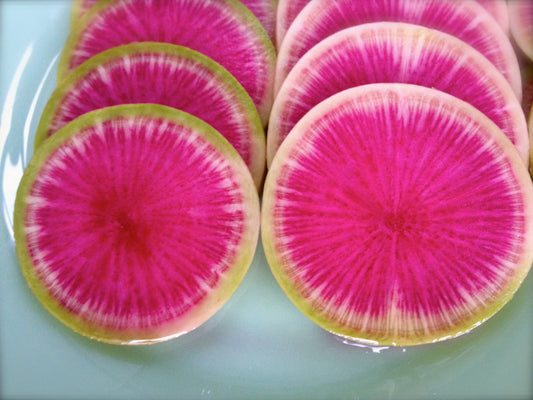 Watermelon Radish